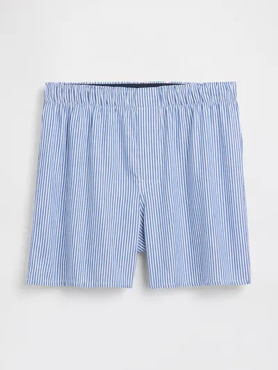 4.5" Poplin Boxers - Blue stripe