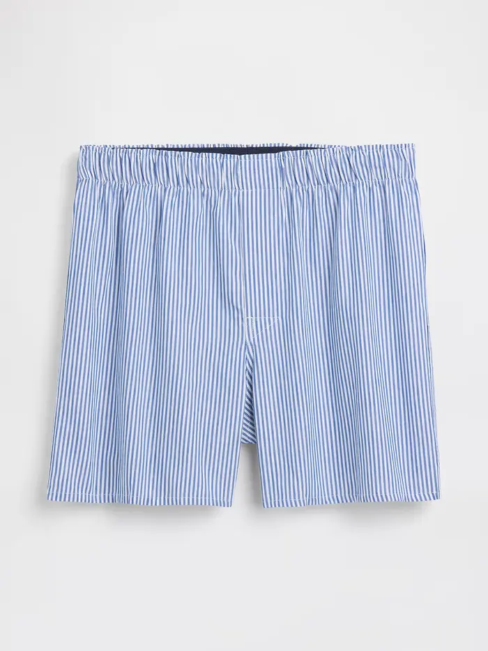 4.5" Poplin Boxers - Blue stripe