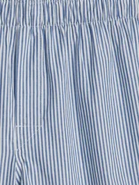 4.5" Poplin Boxers - Blue stripe — view 2