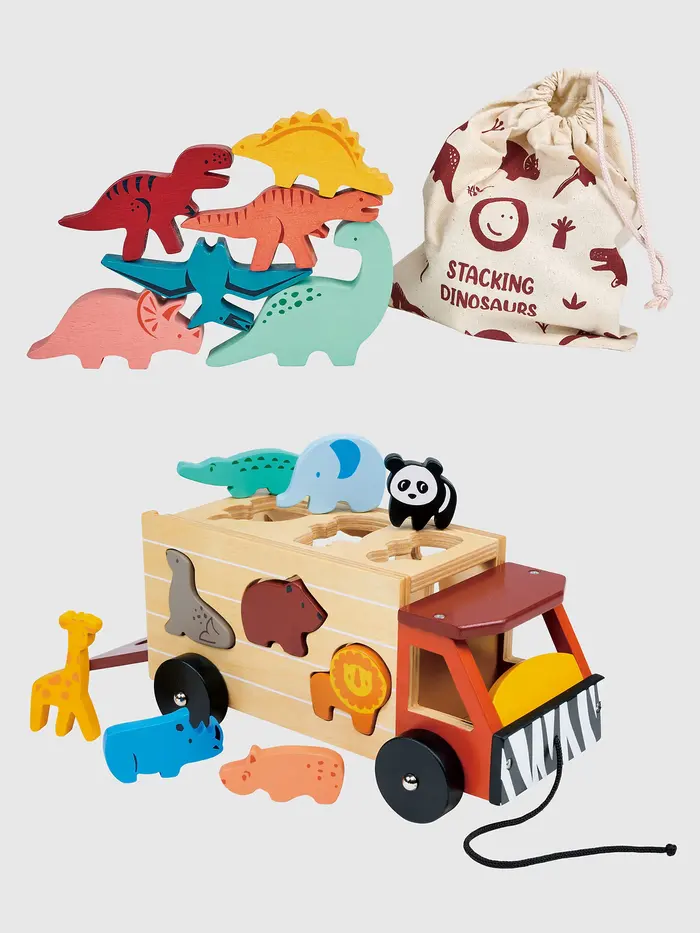 Explorers Sorting and Stacking Toddler Toy Bundle - Multi