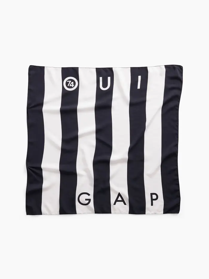 OuiGap Stripe Scarf - MULTI 5