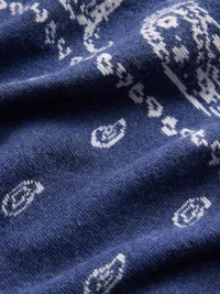 Paisley Triangle Scarf - Sargassus blue — view 4